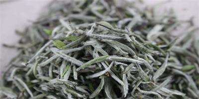 茶葉理條機 茶葉理條機