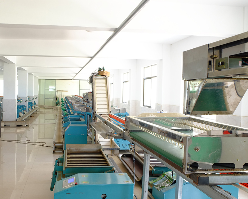 扁形茶自動加工生產(chǎn)線生產(chǎn)側面2 扁形茶自動加工生產(chǎn)線生產(chǎn)側面2